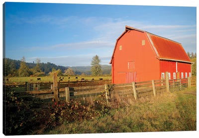 Red Barn With Cows II Canvas Art Print - Susan Vizvary
