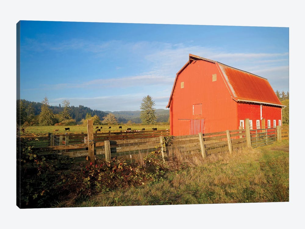 Red Barn With Cows II by Susan Vizvary 1-piece Canvas Print