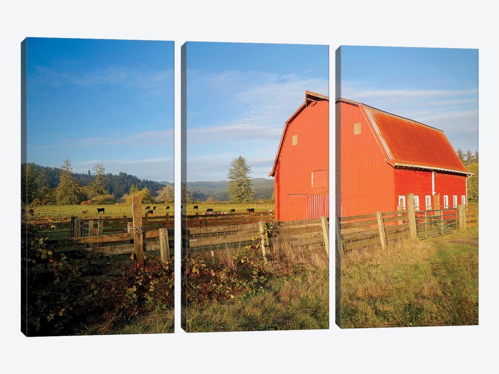 Red Barn With Cows II by Susan Vizvary 3-piece Art Print
