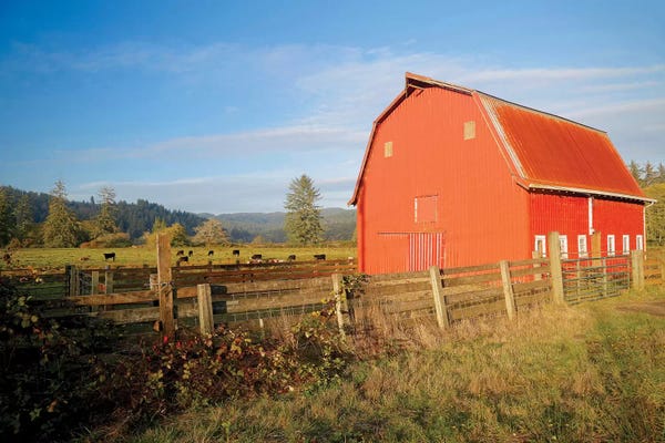 Susan Vizvary: Red Barn With Cows II by Susan Vizvary