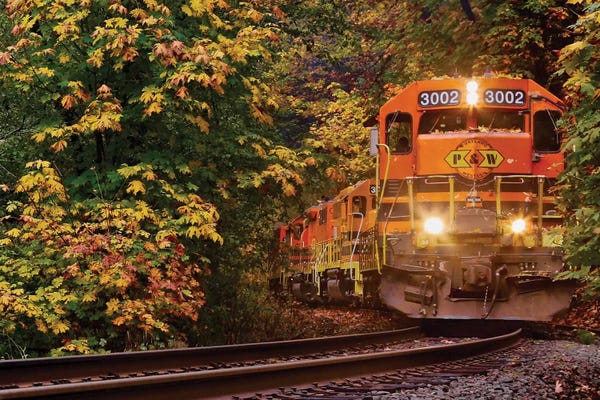 Susan Vizvary: Trains Coming by Susan Vizvary