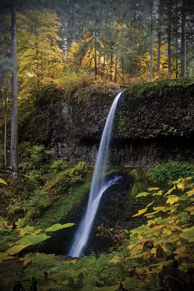 Susan Vizvary: Waterfall Through The Trees II by Susan Vizvary