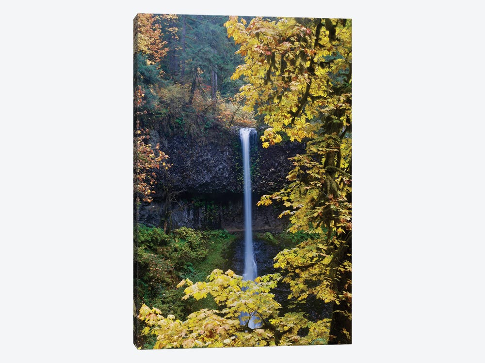 Waterfall Through The Trees I by Susan Vizvary 1-piece Canvas Art