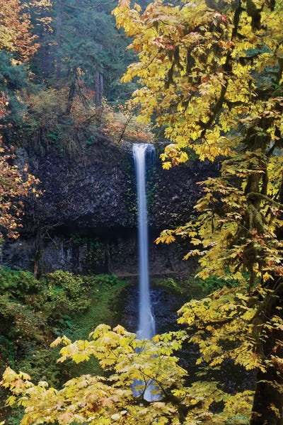 Susan Vizvary: Waterfall Through The Trees I by Susan Vizvary