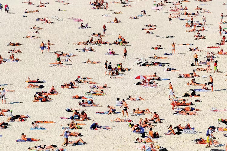 Bondi Beach by Susan Vizvary wall art