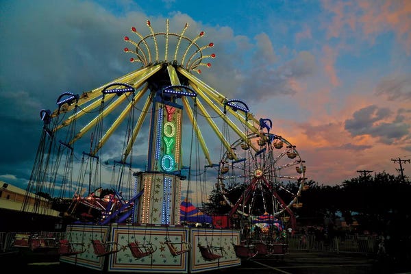 Susan Vizvary: Yolo Fair II by Susan Vizvary