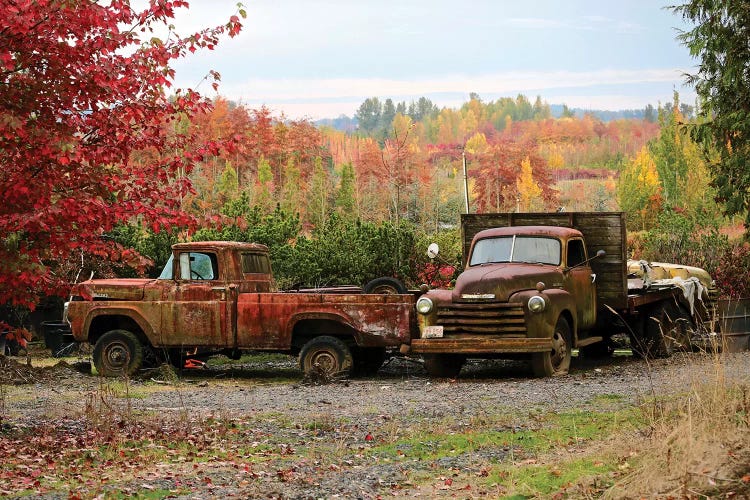 Two Autumn Vintage Trucks by Susan Vizvary wall art