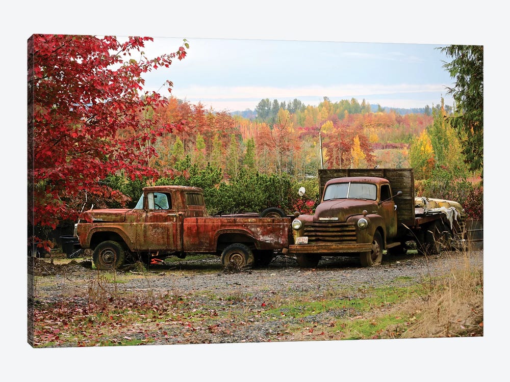 Two Autumn Vintage Trucks by Susan Vizvary 1-piece Art Print