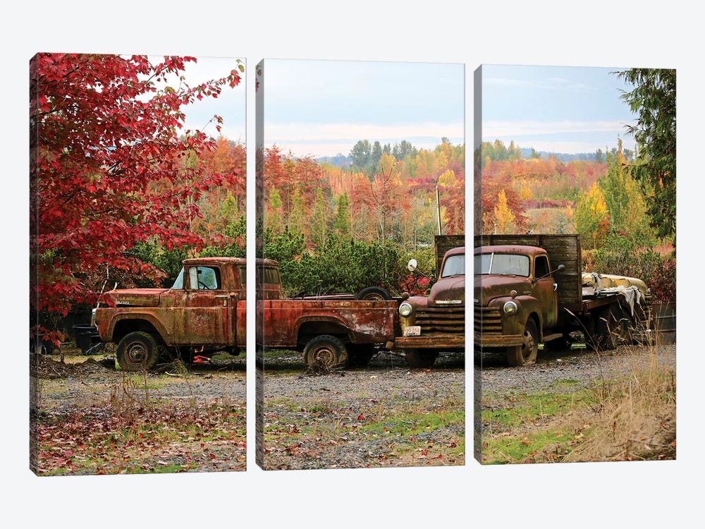 Two Autumn Vintage Trucks by Susan Vizvary 3-piece Art Print
