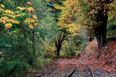 Curved Tracks by Susan Vizvary framed canvas print