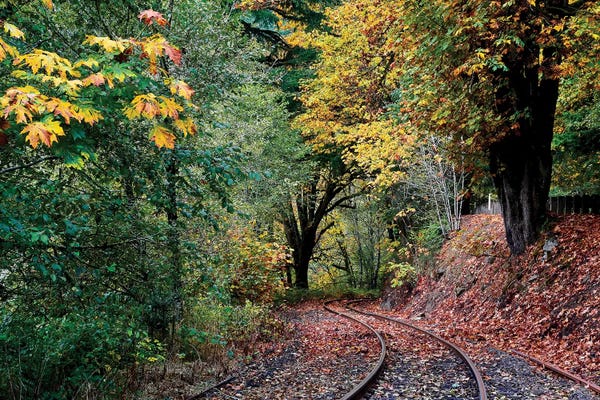 Susan Vizvary: Curved Tracks by Susan Vizvary