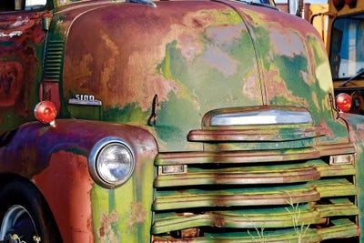 Green Rusted Grill by Susan Vizvary framed canvas print