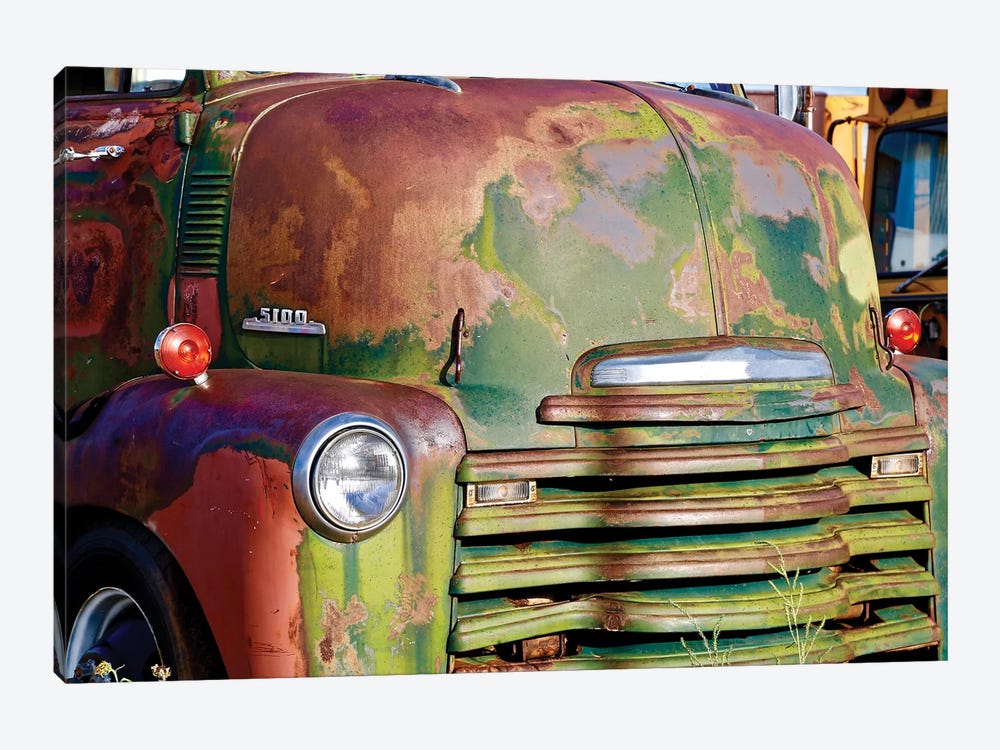 Green Rusted Grill by Susan Vizvary 1-piece Canvas Print