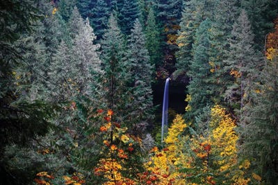 Love Falls I by Susan Vizvary framed canvas print