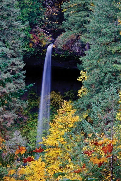 Love Falls II by Susan Vizvary framed canvas print