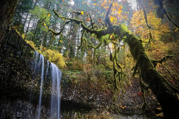Susan Vizvary: Mystical Falls II by Susan Vizvary