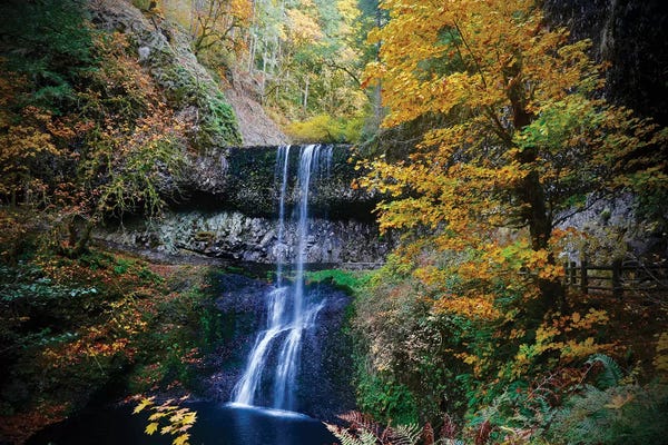 Susan Vizvary: Mystical Falls III by Susan Vizvary