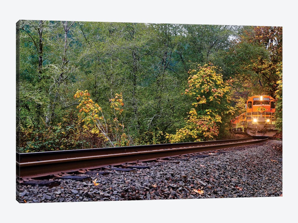 Train On The Tracks by Susan Vizvary 1-piece Canvas Art