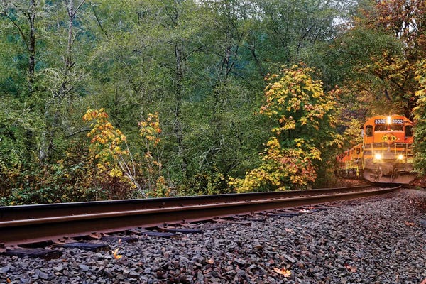 Susan Vizvary: Train On The Tracks by Susan Vizvary