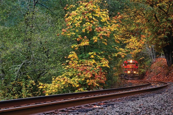 Susan Vizvary: Train Starting On The Tracks by Susan Vizvary