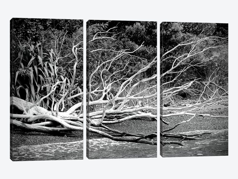 Branch On The Beach In Black And White by Susan Vizvary 3-piece Canvas Art Print