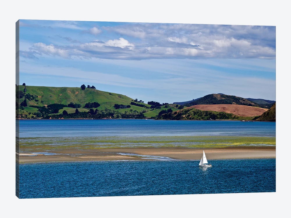 Lone Sailor In New Zealand I by Susan Vizvary 1-piece Canvas Print