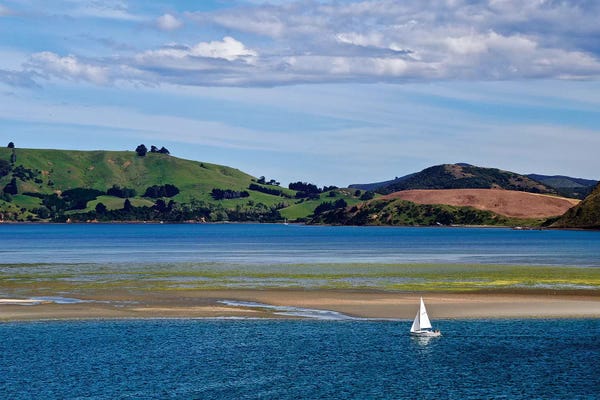 New Zealand: Lone Sailor In New Zealand I by Susan Vizvary