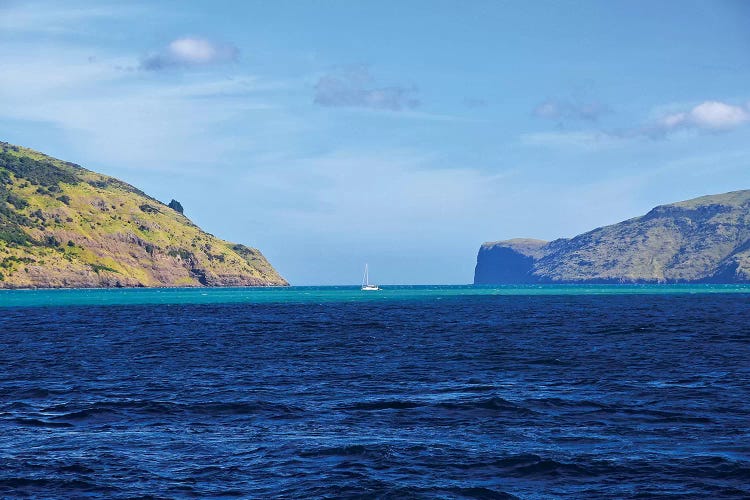 Lone Sailor In New Zealand II