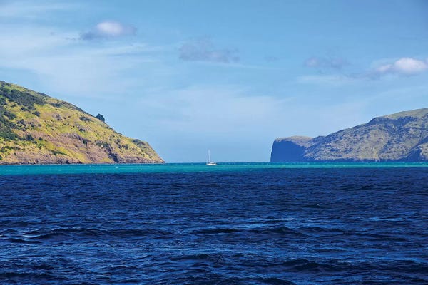 New Zealand: Lone Sailor In New Zealand II by Susan Vizvary