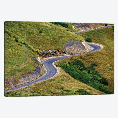 New Zealand Curved Road Canvas Print #SUV225} by Susan Vizvary Canvas Artwork