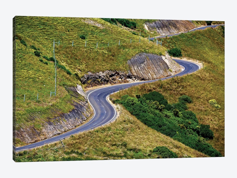 New Zealand Curved Road by Susan Vizvary 1-piece Canvas Wall Art