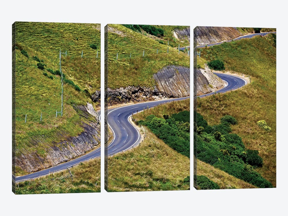 New Zealand Curved Road by Susan Vizvary 3-piece Canvas Art
