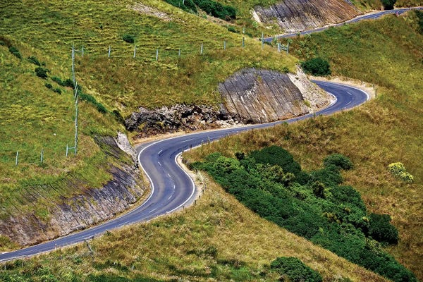 Susan Vizvary: New Zealand Curved Road by Susan Vizvary