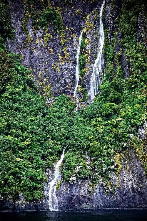 Water Through The Trees