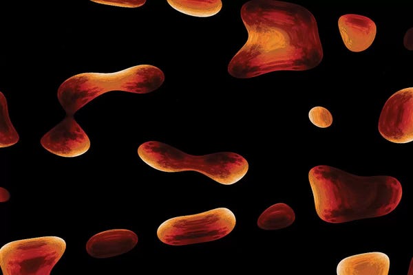 Susan Vizvary: Lunar Eclipse by Susan Vizvary