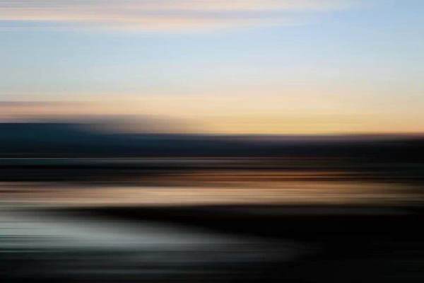 Susan Vizvary: Point Reyes Blur by Susan Vizvary