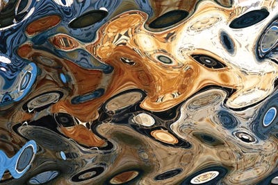 Point Reyes Boat I by Susan Vizvary framed canvas print