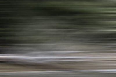 Tree Branch Blur Color by Susan Vizvary framed canvas print