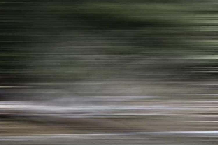 Tree Branch Blur Color by Susan Vizvary wall art