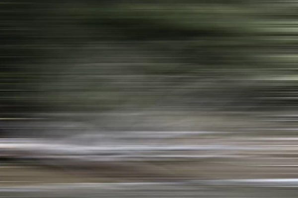 Susan Vizvary: Tree Branch Blur Color by Susan Vizvary