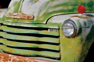 Green Grill by Susan Vizvary framed canvas print