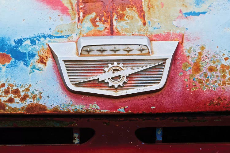 Lighten Bolt Grill by Susan Vizvary wall art