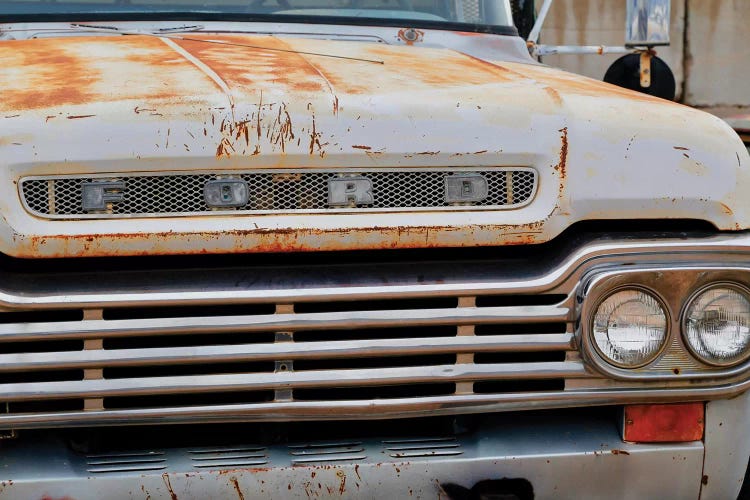 White Ford Grill by Susan Vizvary wall art