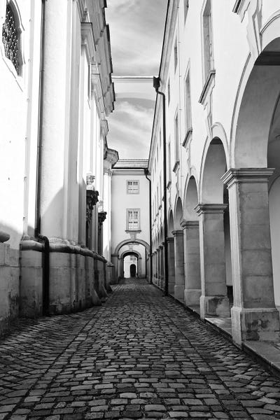 Susan Vizvary: Abbey In Black and White by Susan Vizvary