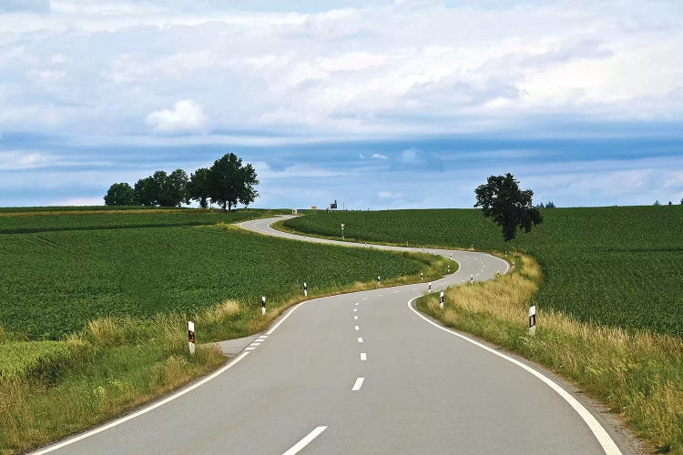 Curved Road In Linz