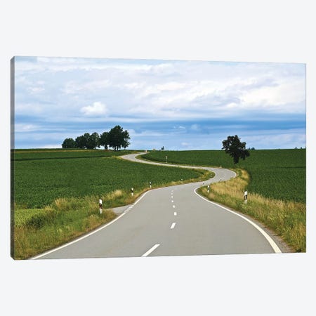 Curved Road In Linz Canvas Print #SUV276} by Susan Vizvary Art Print