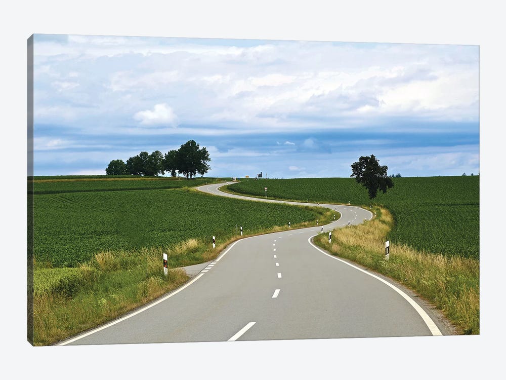 Curved Road In Linz by Susan Vizvary 1-piece Canvas Wall Art