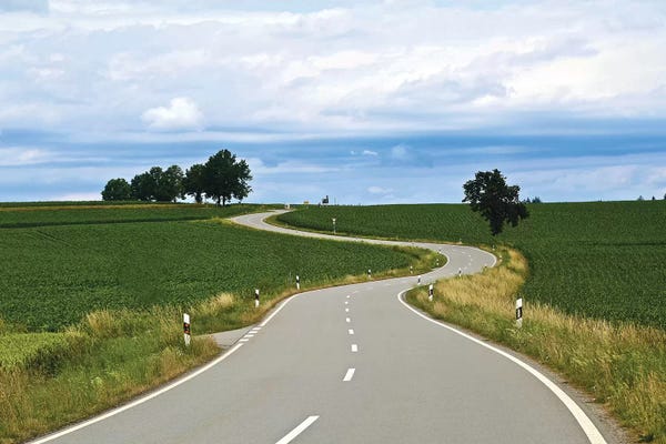 Susan Vizvary: Curved Road In Linz by Susan Vizvary