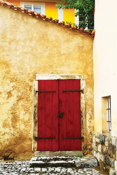 Double Red Door by Susan Vizvary metal wall art