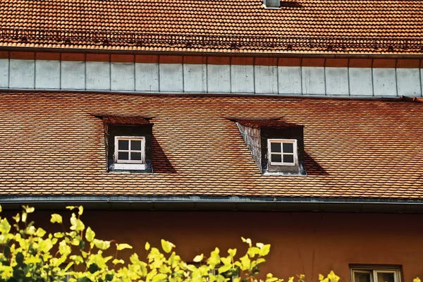 Susan Vizvary: Double Window Rooftop by Susan Vizvary